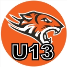 Junior Orange Tigers