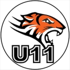 Little White Tigers