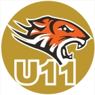 Little Gold Tigers