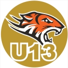 Jr Gold Tigers