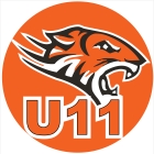 Little Orange Tigers